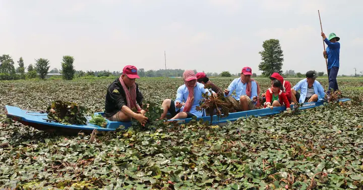 Du Lịch Sinh Thái Miệt Vườn Ở Vùng Đất “chín Rồng” (bài 1) | Báo Ảnh ...
