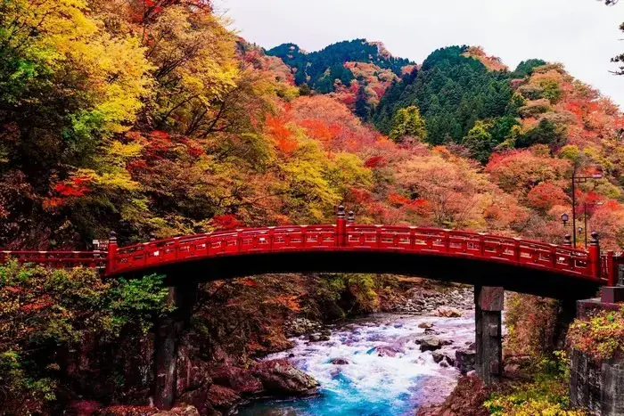 Cầu Shinkyo Cầu Shinkyo