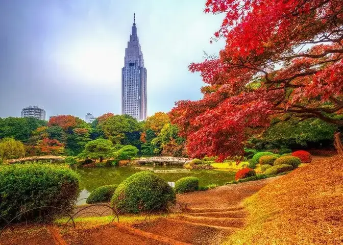 Công Viên Shinjuku Gyoen Công Viên Shinjuku Gyoen