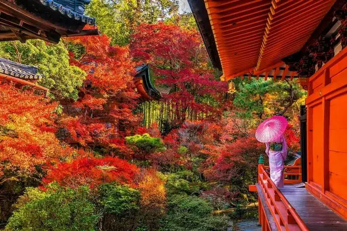 Đền Bishamondō Đền Bishamondō