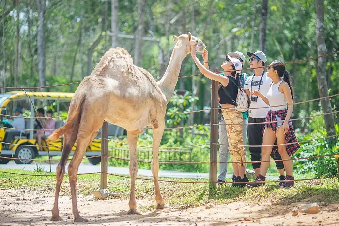 Vinpearl Safari Phú Quốc