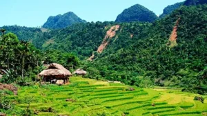 Cẩm Nang Du Lịch Pù Luông Thanh Hóa Đầy Đủ Từ A – Z