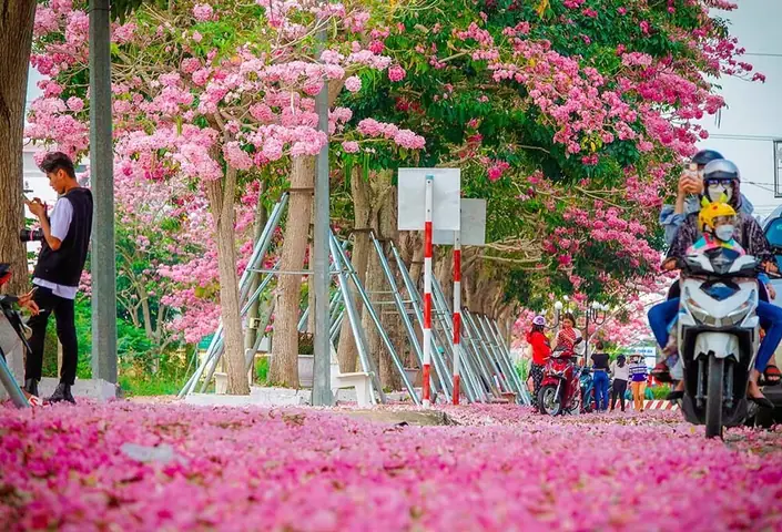 Khám Phá Du Lịch Sóc Trăng Chỉ Với 2 Ngày 1 Đêm Khám Phá Du Lịch Sóc Trăng Chỉ Với 2 Ngày 1 Đêm