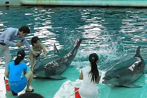 Du Lịch Tuần Châu 3 Ngày 2 Đêm Du Lịch Tuần Châu 3 Ngày 2 Đêm