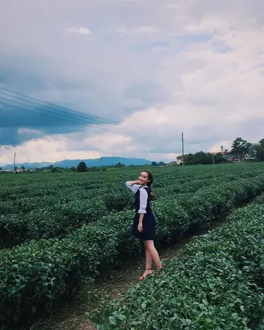Đắm Mình Vào Khung Cảnh Thiên Nhiên Thơ Mộng