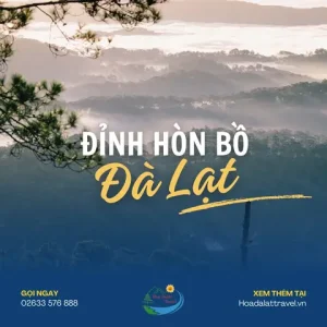 Kinh Nghiệm Chinh Phục Đỉnh Núi Hòn Bồ Đà Lạt