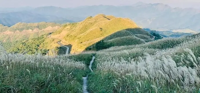 Đến Cung Đường Tuần Tra Biên Giới Bình Liêu Mùa Nào Đẹp?