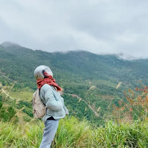 Thông Tin Về Đường Tuần Tra Biên Giới Ở Bình Liêu