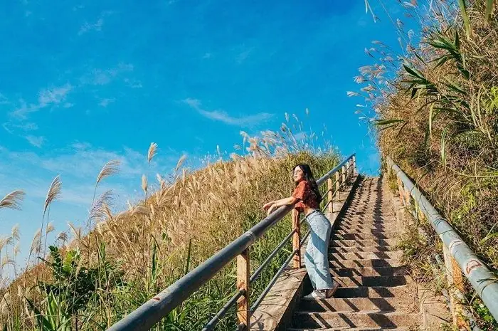 Thông Tin Về Đường Tuần Tra Biên Giới Ở Bình Liêu