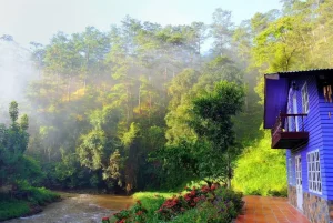 Ma Rừng Lữ Quán Đà Lạt - Khám Phá “động Tiên" Giữa Rừng Sâu