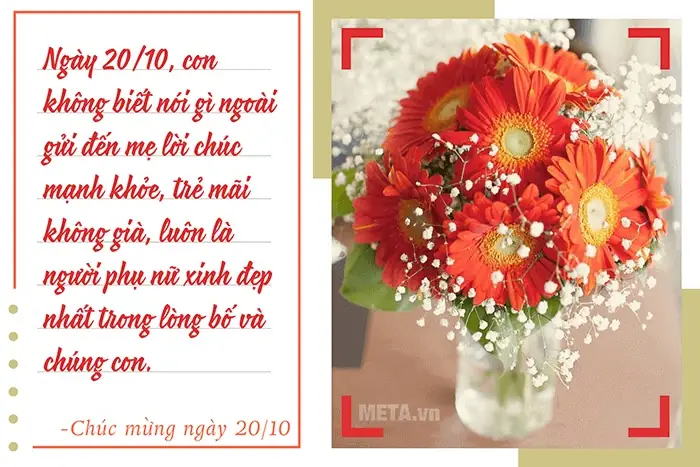 Những Món Quà Tặng Ý Nghĩa Cho Ngày 20/10?