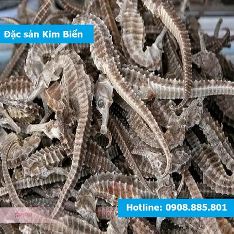 Cá Ngựa Khô Nha Trang