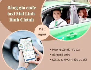 Giá Taxi Mai Linh Bình Chánh - Tiết Kiệm Hơn Với Ưu Đãi Độc Quyền ...