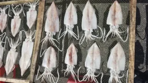 Mực Rim Me Nha Trang – Món Quà Bình Dân Hương Vị Tuyệt Đỉnh