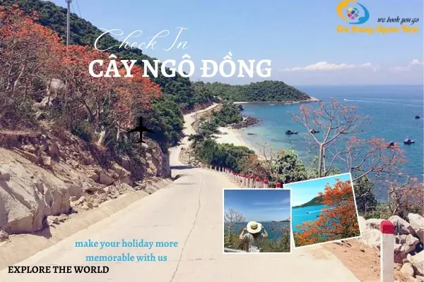 Lịch Trình Tour Cù Lao Chàm 2025