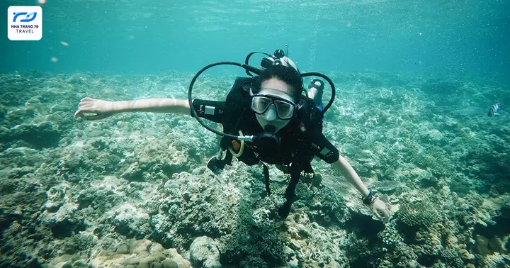 Tour Lặn Biển Ngắm San Hô Nha Trang Chuyên Nghiệp [1 Kèm 1]