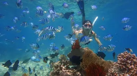 Lặn Biển Nha Trang - Review Địa Điểm, Giá Vé, Kinh Nghiệm