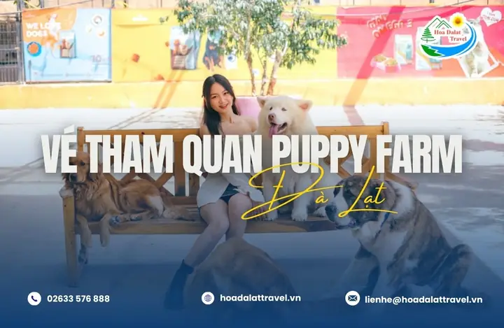 Đặt Vé Tham Quan Nông Trại Cún Puppy Farm Đà Lạt – Ưu Đãi 20 ... Đặt Vé Tham Quan Nông Trại Cún Puppy Farm Đà Lạt – Ưu Đãi 20 ...