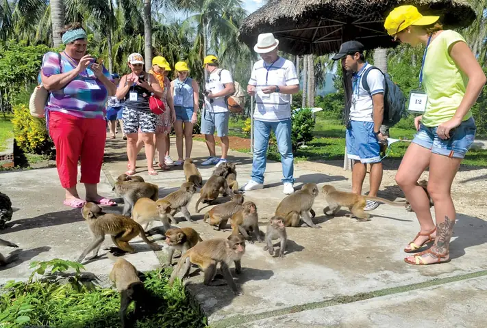 Tour Đảo Khỉ + Suối Hoa Lan Nha Trang 2026 - Gọi Ngay 0981211948
