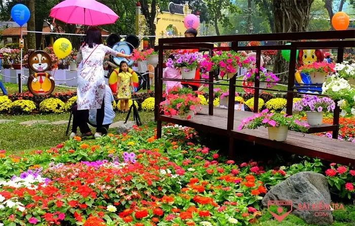 Hình Ảnh Cho Giáo Án Vẽ Hoa Mùa Xuân:
