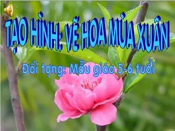 Hình Ảnh Cho Giáo Án Vẽ Hoa Mùa Xuân: