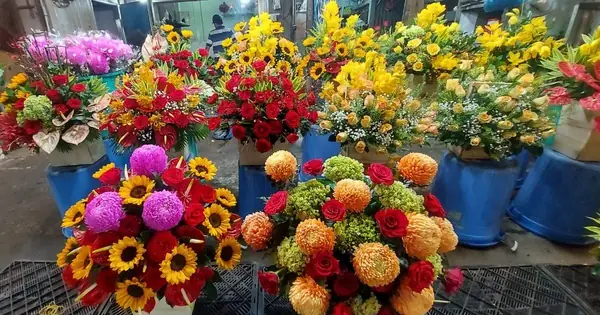 Chợ Hoa Hồ Thị Kỷ Nhộn Nhịp Cả Đêm Dịp 8/3 Chợ Hoa Hồ Thị Kỷ Nhộn Nhịp Cả Đêm Dịp 8/3