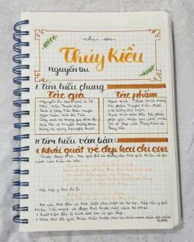 Những Hoạt Động Du Lịch Nào Bạn Có Thể Tham Gia Để Khám Phá Vẻ Đẹp Của Huế?