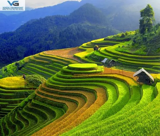 Những Hoạt Động Du Lịch Nào Bạn Có Thể Tham Gia Để Khám Phá Vẻ Đẹp Của Huế?