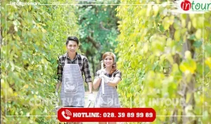 Một Số Địa Điểm Tham Quan Du Lịch Ở Phú Quốc