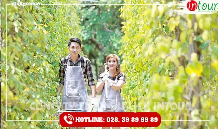 Một Số Địa Điểm Tham Quan Du Lịch Ở Phú Quốc