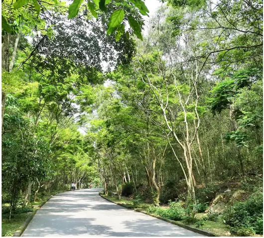 Tài Nguyên Rừng Tài Nguyên Rừng