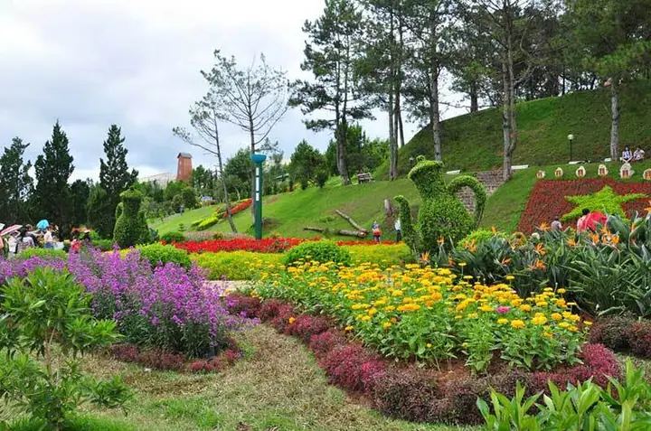 Vườn Hoa Đà Lạt Vườn Hoa Đà Lạt