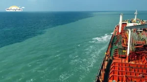 Ý Nghĩa Hình Thành Viện Hải Dương Học Nha Trang