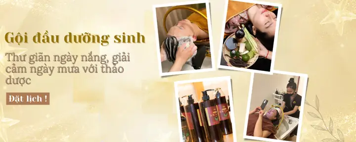 Goi-dau-duong-sinh-la-gi
