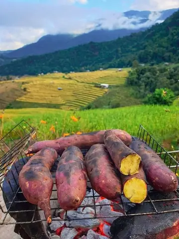 Bánh Giò, Khoai Lang Luộc, Chuối Luộc