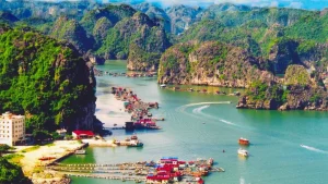 Hà Nội Cát Bà Bao Nhiêu Km? Lộ Trình, Phương Tiện & Thời Gian ...