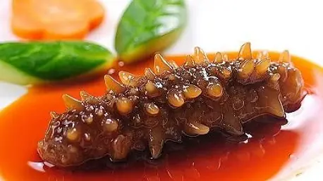 Hải Sâm Phú Quốc: Tác Dụng - Giá - Cách Chế Biến - Món Ngon