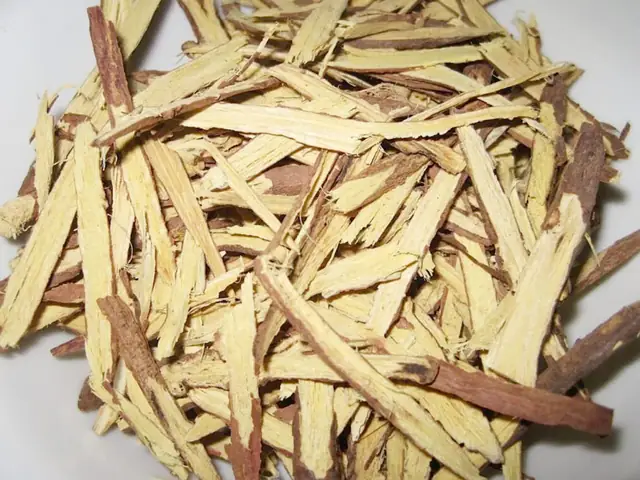 Một Số Lưu Ý Khi Ăn Hải Sâm Để Tốt Cho Sức Khỏe