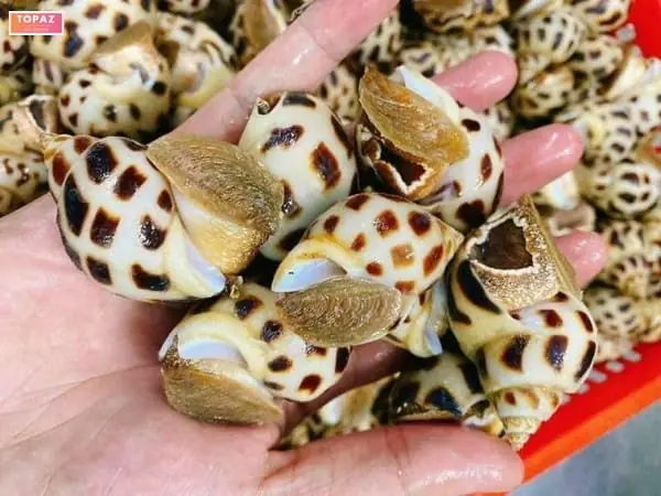 Nhà Hàng Siêu Thị Ốc Nhà Hàng Siêu Thị Ốc