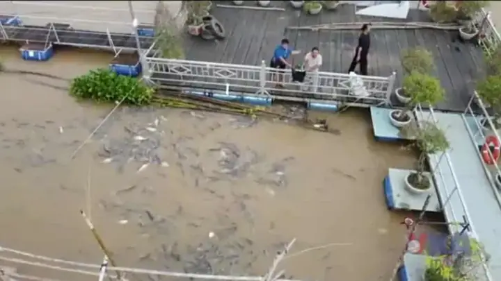 Tại Bãi Biển Này, Khi Mặt Trời Chưa Ló Dạng, Các Tiểu Thương Và Người Dân Đã Họp Chợ Hải Sản, Chợ Làng Chài Để Mua Bán Hải Sản.