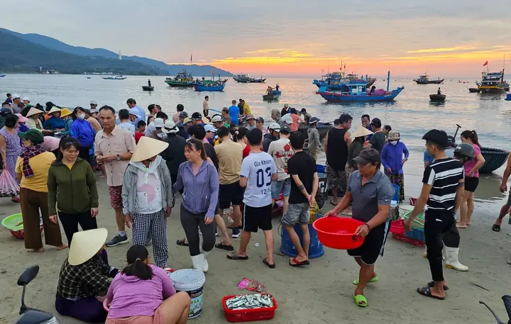 Tại Bãi Biển Này, Khi Mặt Trời Chưa Ló Dạng, Các Tiểu Thương Và Người Dân Đã Họp Chợ Hải Sản, Chợ Làng Chài Để Mua Bán Hải Sản.