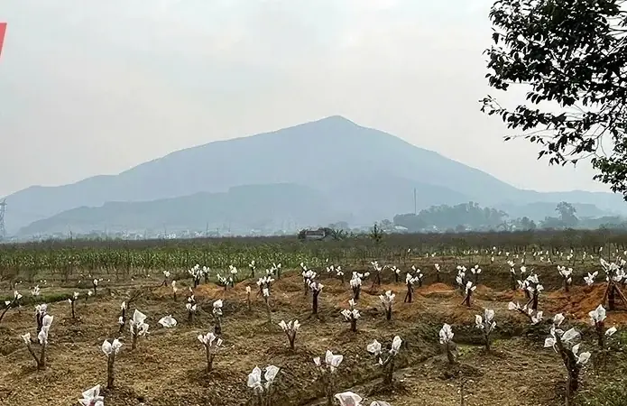Khung Cảnh Nhộn Nhịp Mua Bán Hải Sản Ở Phiên Chợ Làng Chài Trên Bãi Biển Mân Thái Mỗi Sáng Sớm. Ngư Dân Và Các Tiểu Thương Ai Nấy Đều Giữ Gìn Vệ Sinh Sạch Sẽ Cho Bãi Biển.