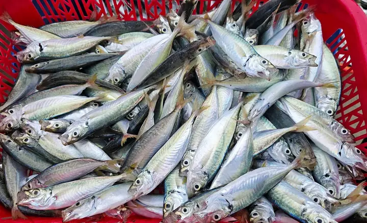Khung Cảnh Nhộn Nhịp Mua Bán Hải Sản Ở Phiên Chợ Làng Chài Trên Bãi Biển Mân Thái Mỗi Sáng Sớm. Ngư Dân Và Các Tiểu Thương Ai Nấy Đều Giữ Gìn Vệ Sinh Sạch Sẽ Cho Bãi Biển.