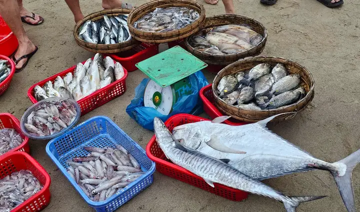 Khung Cảnh Nhộn Nhịp Mua Bán Hải Sản Ở Phiên Chợ Làng Chài Trên Bãi Biển Mân Thái Mỗi Sáng Sớm. Ngư Dân Và Các Tiểu Thương Ai Nấy Đều Giữ Gìn Vệ Sinh Sạch Sẽ Cho Bãi Biển.