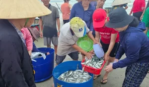 Tại Bãi Biển Này, Khi Mặt Trời Chưa Ló Dạng, Các Tiểu Thương Và Người Dân Đã Họp Chợ Hải Sản, Chợ Làng Chài Để Mua Bán Hải Sản.