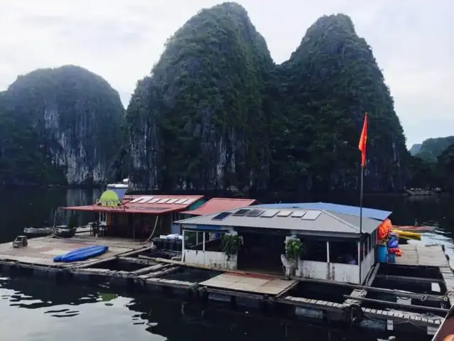 Visiting A Fish Farm