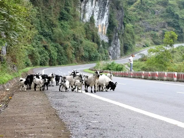 What Can You Do On Cat Ba Island?