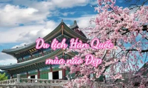 [bật Mí] Du Lịch Hàn Quốc Mùa Nào Đẹp Nhất Năm