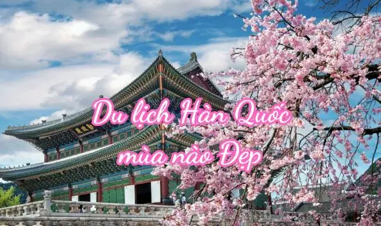 [bật Mí] Du Lịch Hàn Quốc Mùa Nào Đẹp Nhất Năm