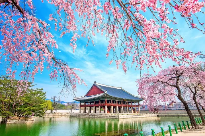 Du Lịch Hàn Quốc Tháng 4 Có Gì? Thời Tiết & Điểm Đến Hấp Dẫn Du Lịch Hàn Quốc Tháng 4 Có Gì? Thời Tiết & Điểm Đến Hấp Dẫn